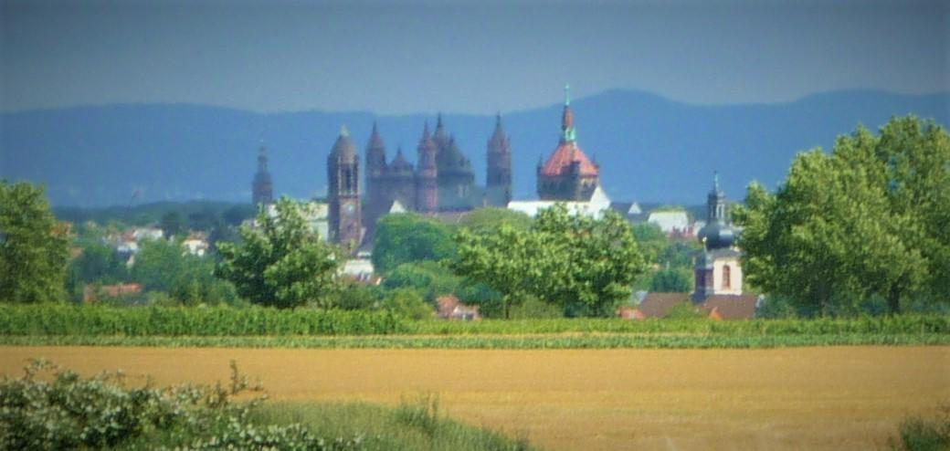 Landhaus Rebstock Вормс Екстер'єр фото